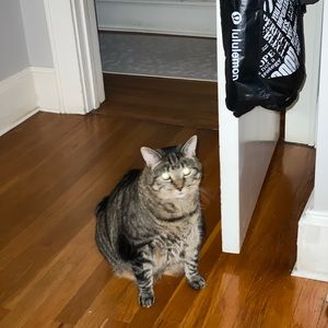 Meet your Posher, Kellie